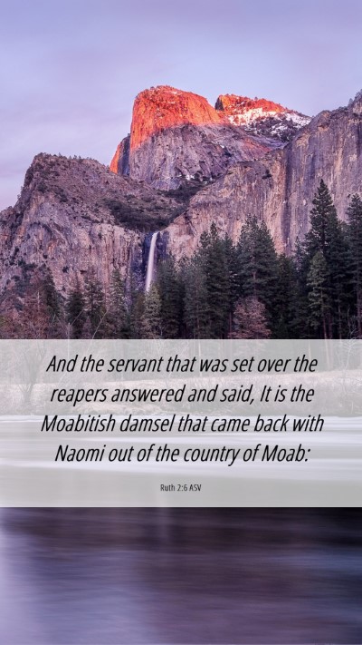 Picture 06 - Ruth 2:6 ASV Mobile Phone Wallpaper - And the servant that was set over the reapers - Mobile Bible Verse Wallpaper