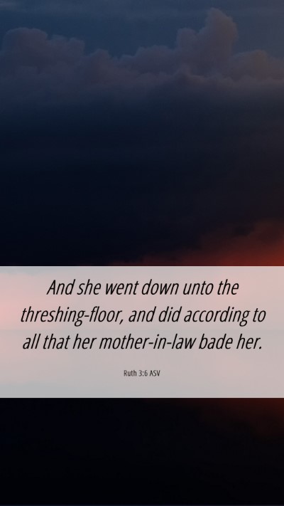 Picture 06 - Ruth 3:6 ASV Mobile Phone Wallpaper - And she went down unto the threshing-floor, and - Mobile Bible Verse Wallpaper