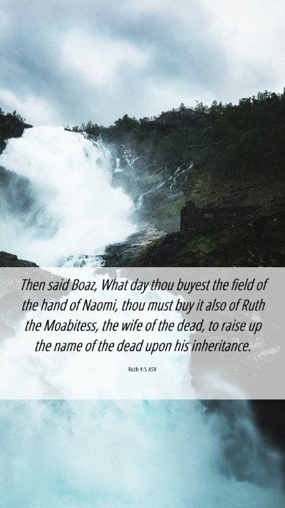 Picture 06 - Ruth 4:5 ASV Mobile Phone Wallpaper - Then said Boaz, What day thou buyest the field of - Mobile Bible Verse Wallpaper