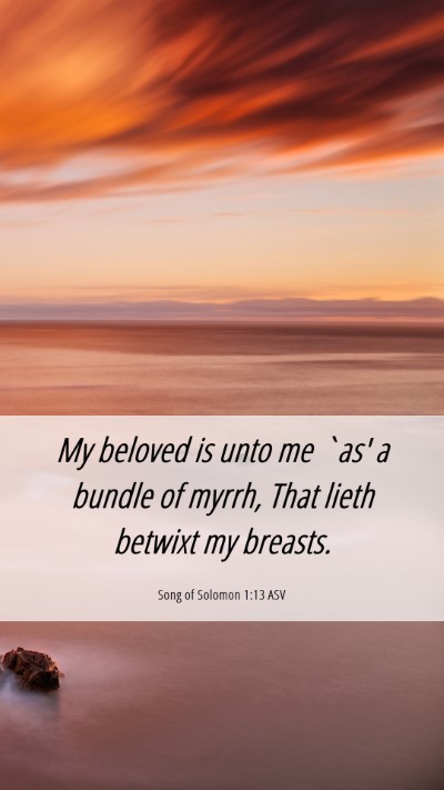 Picture 06 - Song of Solomon 1:13 ASV Mobile Phone Wallpaper - My beloved is unto me `as' a bundle of myrrh, - Mobile Bible Verse Wallpaper