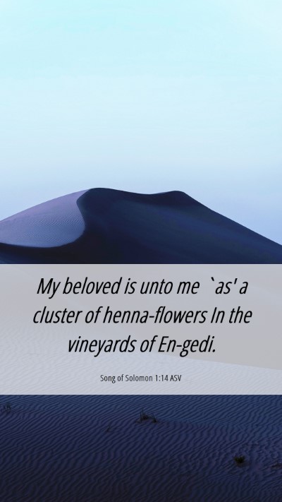 Picture 06 - Song of Solomon 1:14 ASV Mobile Phone Wallpaper - My beloved is unto me `as' a cluster of - Mobile Bible Verse Wallpaper