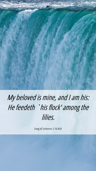 Picture 06 - Song of Solomon 2:16 ASV Mobile Phone Wallpaper - My beloved is mine, and I am his: He feedeth `his - Mobile Bible Verse Wallpaper