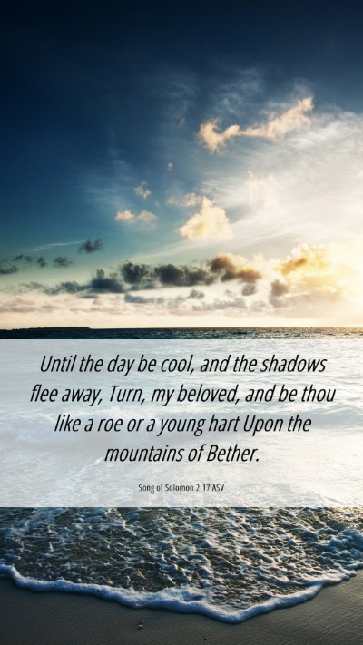 Picture 06 - Song of Solomon 2:17 ASV Mobile Phone Wallpaper - Until the day be cool, and the shadows flee away, - Mobile Bible Verse Wallpaper