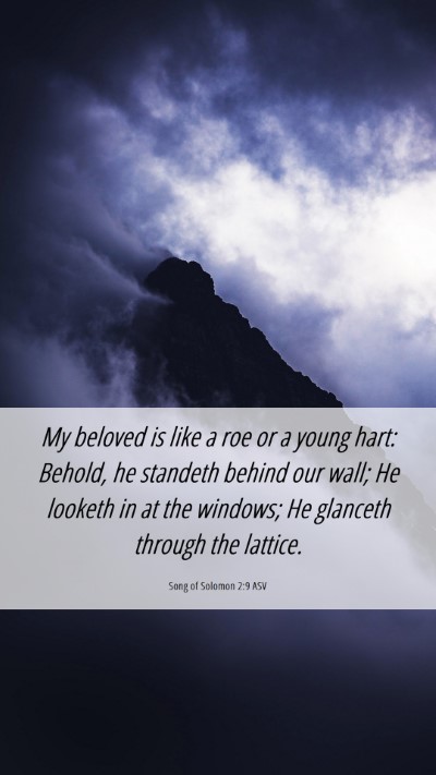 Picture 06 - Song of Solomon 2:9 ASV Mobile Phone Wallpaper - My beloved is like a roe or a young hart: Behold, - Mobile Bible Verse Wallpaper