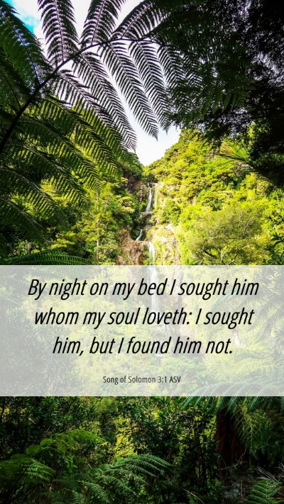 Picture 06 - Song of Solomon 3:1 ASV Mobile Phone Wallpaper - By night on my bed I sought him whom my soul - Mobile Bible Verse Wallpaper