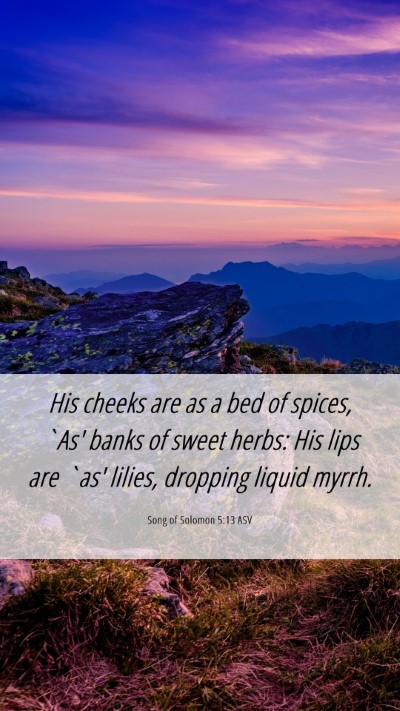 Picture 06 - Song of Solomon 5:13 ASV Mobile Phone Wallpaper - His cheeks are as a bed of spices, `As' banks of - Mobile Bible Verse Wallpaper