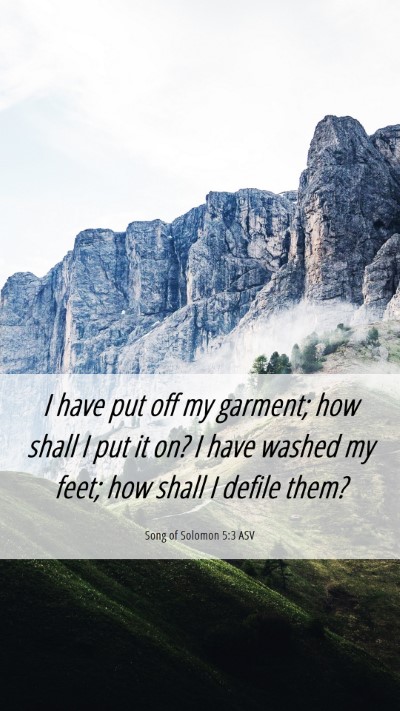 Picture 06 - Song of Solomon 5:3 ASV Mobile Phone Wallpaper - I have put off my garment; how shall I put it on? - Mobile Bible Verse Wallpaper