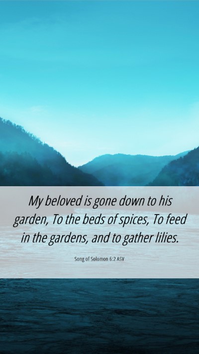 Picture 06 - Song of Solomon 6:2 ASV Mobile Phone Wallpaper - My beloved is gone down to his garden, To the - Mobile Bible Verse Wallpaper