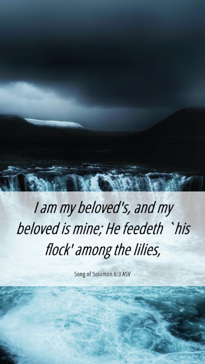 Picture 06 - Song of Solomon 6:3 ASV Mobile Phone Wallpaper - I am my beloved's, and my beloved is mine; He - Mobile Bible Verse Wallpaper