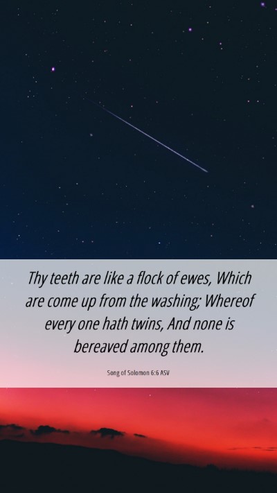 Picture 06 - Song of Solomon 6:6 ASV Mobile Phone Wallpaper - Thy teeth are like a flock of ewes, Which are - Mobile Bible Verse Wallpaper