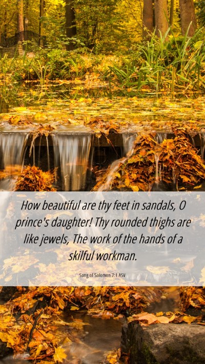 Picture 06 - Song of Solomon 7:1 ASV Mobile Phone Wallpaper - How beautiful are thy feet in sandals, O prince's - Mobile Bible Verse Wallpaper