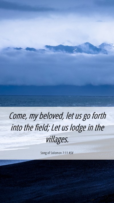 Picture 06 - Song of Solomon 7:11 ASV Mobile Phone Wallpaper - Come, my beloved, let us go forth into the field; - Mobile Bible Verse Wallpaper