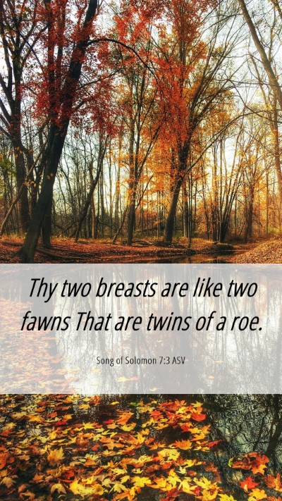 Picture 06 - Song of Solomon 7:3 ASV Mobile Phone Wallpaper - Thy two breasts are like two fawns That are twins - Mobile Bible Verse Wallpaper
