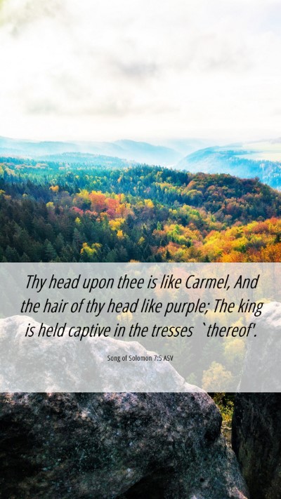 Picture 06 - Song of Solomon 7:5 ASV Mobile Phone Wallpaper - Thy head upon thee is like Carmel, And the hair - Mobile Bible Verse Wallpaper