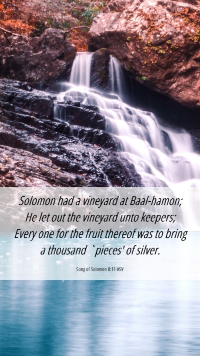 Picture 06 - Song of Solomon 8:11 ASV Mobile Phone Wallpaper - Solomon had a vineyard at Baal-hamon; He let out - Mobile Bible Verse Wallpaper
