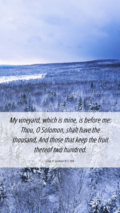 Picture 06 - Song of Solomon 8:12 ASV Mobile Phone Wallpaper - My vineyard, which is mine, is before me: Thou, O - Mobile Bible Verse Wallpaper