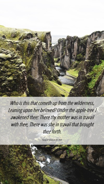 Picture 06 - Song of Solomon 8:5 ASV Mobile Phone Wallpaper - Who is this that cometh up from the wilderness, - Mobile Bible Verse Wallpaper