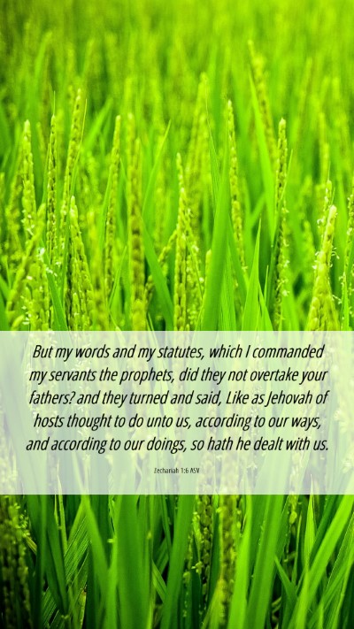 Picture 06 - Zechariah 1:6 ASV Mobile Phone Wallpaper - But my words and my statutes, which I commanded - Mobile Bible Verse Wallpaper