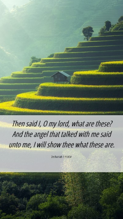 Picture 06 - Zechariah 1:9 ASV Mobile Phone Wallpaper - Then said I, O my lord, what are these? And the - Mobile Bible Verse Wallpaper