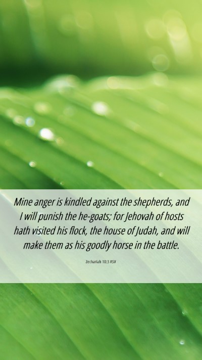 Picture 06 - Zechariah 10:3 ASV Mobile Phone Wallpaper - Mine anger is kindled against the shepherds, and - Mobile Bible Verse Wallpaper