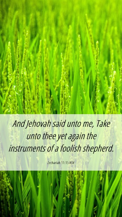 Picture 06 - Zechariah 11:15 ASV Mobile Phone Wallpaper - And Jehovah said unto me, Take unto thee yet - Mobile Bible Verse Wallpaper