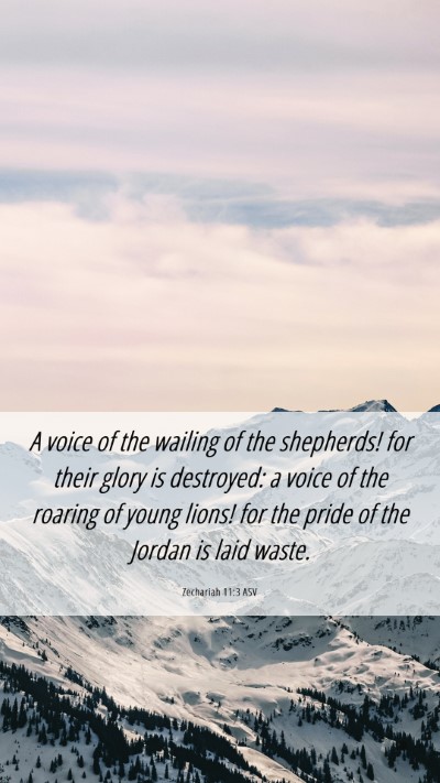 Picture 06 - Zechariah 11:3 ASV Mobile Phone Wallpaper - A voice of the wailing of the shepherds! for - Mobile Bible Verse Wallpaper