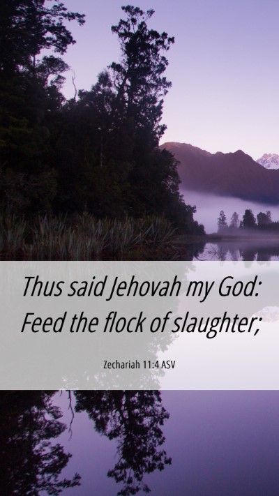 Picture 06 - Zechariah 11:4 ASV Mobile Phone Wallpaper - Thus said Jehovah my God: Feed the flock of - Mobile Bible Verse Wallpaper