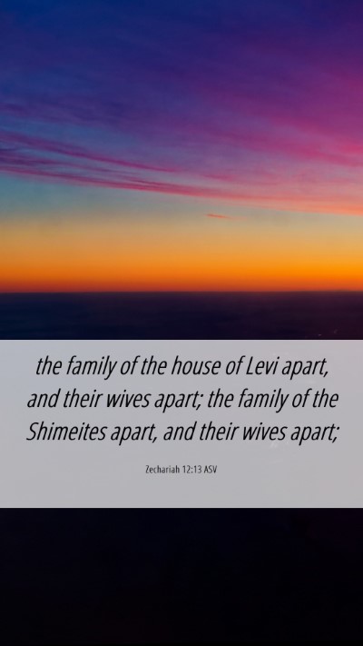 Picture 06 - Zechariah 12:13 ASV Mobile Phone Wallpaper - the family of the house of Levi apart, and their - Mobile Bible Verse Wallpaper