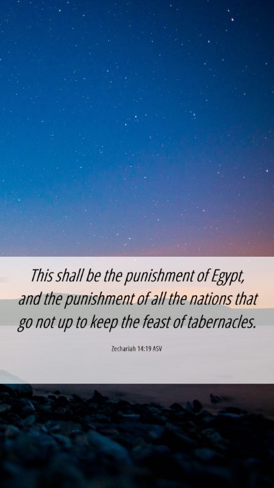 Picture 06 - Zechariah 14:19 ASV Mobile Phone Wallpaper - This shall be the punishment of Egypt, and the - Mobile Bible Verse Wallpaper