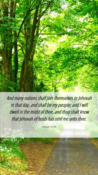 Picture 06 - Zechariah 2:11 ASV Mobile Phone Wallpaper - And many nations shall join themselves to Jehovah - Mobile Bible Verse Wallpaper