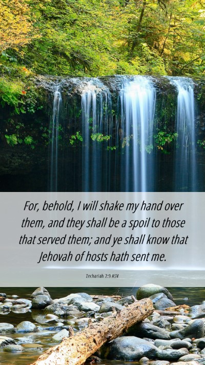 Picture 06 - Zechariah 2:9 ASV Mobile Phone Wallpaper - For, behold, I will shake my hand over them, and - Mobile Bible Verse Wallpaper