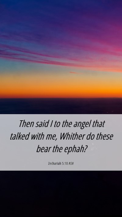 Picture 06 - Zechariah 5:10 ASV Mobile Phone Wallpaper - Then said I to the angel that talked with me, - Mobile Bible Verse Wallpaper