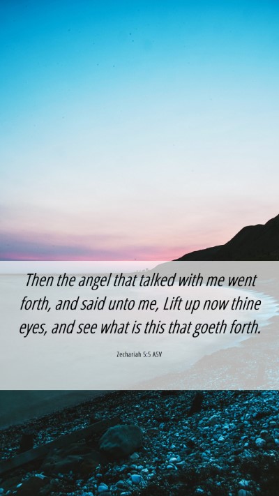 Picture 06 - Zechariah 5:5 ASV Mobile Phone Wallpaper - Then the angel that talked with me went forth, - Mobile Bible Verse Wallpaper