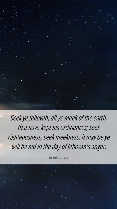 Picture 06 - Zephaniah 2:3 ASV Mobile Phone Wallpaper - Seek ye Jehovah, all ye meek of the earth, that - Mobile Bible Verse Wallpaper