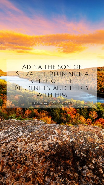 Picture 07 - 1 Chronicles 11:42 ASV Mobile Phone Wallpaper - Adina the son of Shiza the Reubenite, a chief of - Mobile Bible Verse Wallpaper
