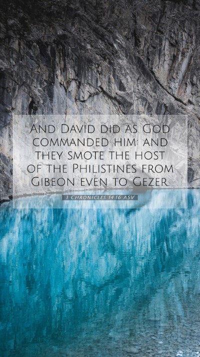 Picture 07 - 1 Chronicles 14:16 ASV Mobile Phone Wallpaper - And David did as God commanded him: and they - Mobile Bible Verse Wallpaper