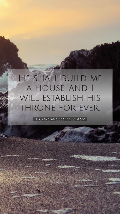 Picture 07 - 1 Chronicles 17:12 ASV Mobile Phone Wallpaper - He shall build me a house, and I will establish - Mobile Bible Verse Wallpaper