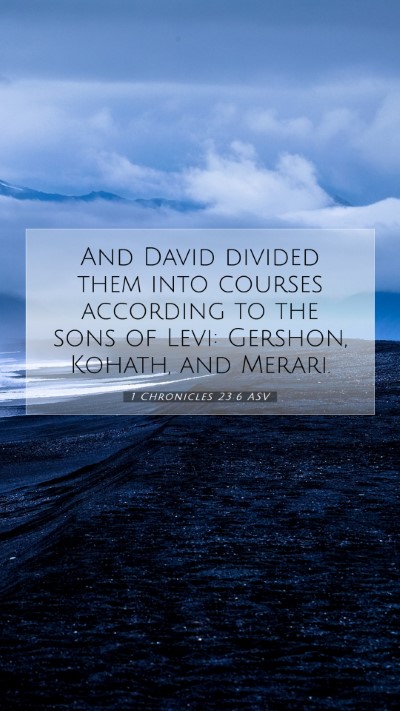 Picture 07 - 1 Chronicles 23:6 ASV Mobile Phone Wallpaper - And David divided them into courses according to - Mobile Bible Verse Wallpaper