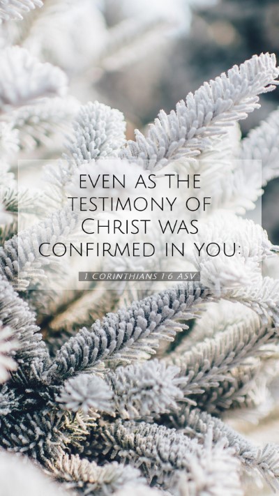 Picture 07 - 1 Corinthians 1:6 ASV Mobile Phone Wallpaper - even as the testimony of Christ was confirmed in - Mobile Bible Verse Wallpaper