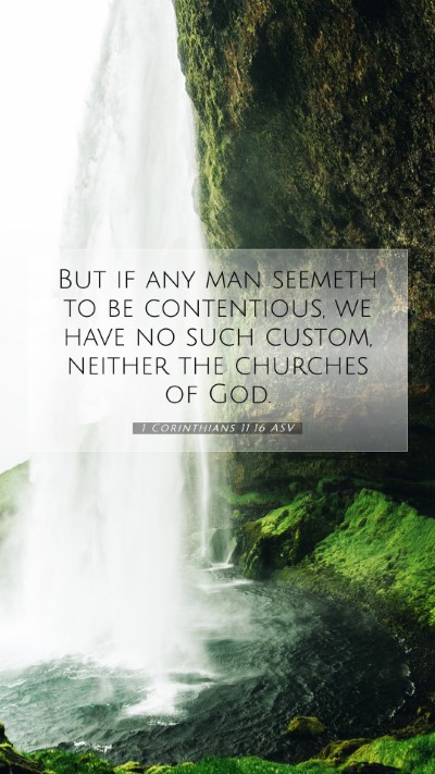 Picture 07 - 1 Corinthians 11:16 ASV Mobile Phone Wallpaper - But if any man seemeth to be contentious, we have - Mobile Bible Verse Wallpaper