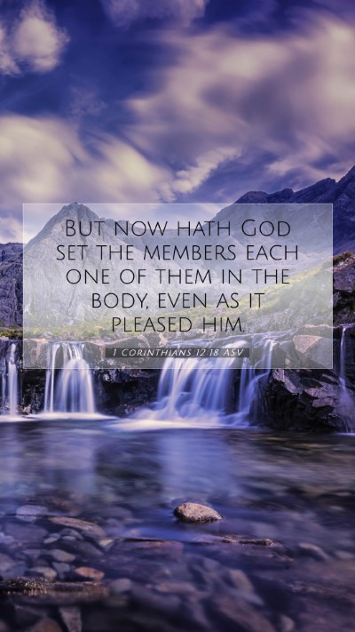 Picture 07 - 1 Corinthians 12:18 ASV Mobile Phone Wallpaper - But now hath God set the members each one of them - Mobile Bible Verse Wallpaper