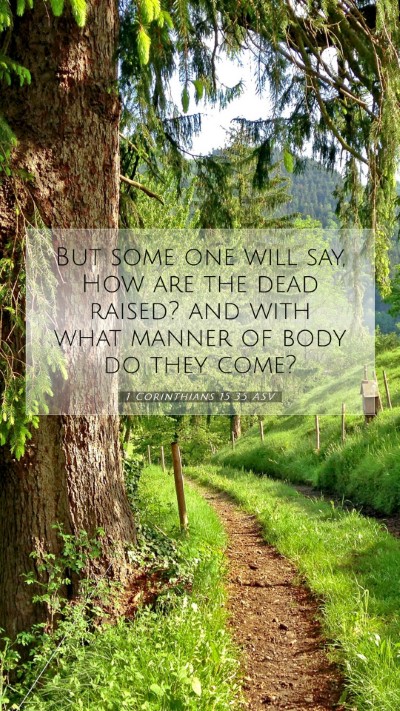 Picture 07 - 1 Corinthians 15:35 ASV Mobile Phone Wallpaper - But some one will say, How are the dead raised? - Mobile Bible Verse Wallpaper
