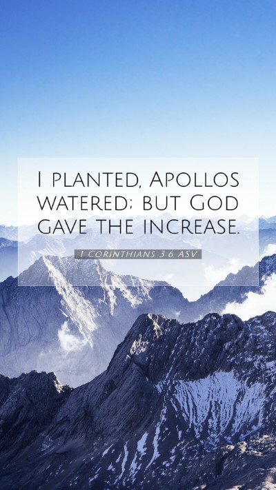 Picture 07 - 1 Corinthians 3:6 ASV Mobile Phone Wallpaper - I planted, Apollos watered; but God gave the - Mobile Bible Verse Wallpaper