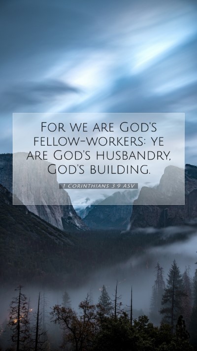 Picture 07 - 1 Corinthians 3:9 ASV Mobile Phone Wallpaper - For we are God's fellow-workers: ye are God's - Mobile Bible Verse Wallpaper