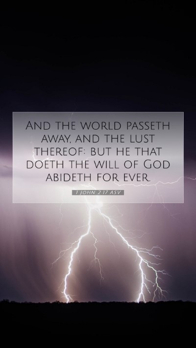 Picture 07 - 1 John 2:17 ASV Mobile Phone Wallpaper - And the world passeth away, and the lust thereof: - Mobile Bible Verse Wallpaper
