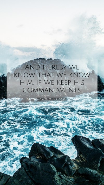 Picture 07 - 1 John 2:3 ASV Mobile Phone Wallpaper - And hereby we know that we know him, if we keep - Mobile Bible Verse Wallpaper