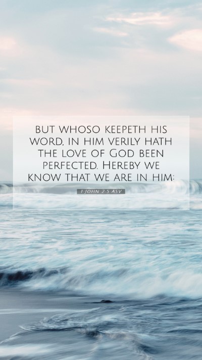 Picture 07 - 1 John 2:5 ASV Mobile Phone Wallpaper - but whoso keepeth his word, in him verily hath - Mobile Bible Verse Wallpaper