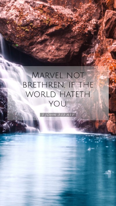 Picture 07 - 1 John 3:13 ASV Mobile Phone Wallpaper - Marvel not, brethren, if the world hateth - Mobile Bible Verse Wallpaper