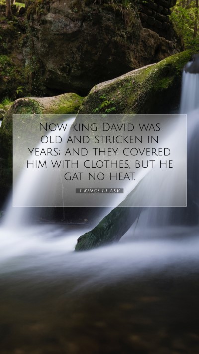 Picture 07 - 1 Kings 1:1 ASV Mobile Phone Wallpaper - Now king David was old and stricken in years; and - Mobile Bible Verse Wallpaper