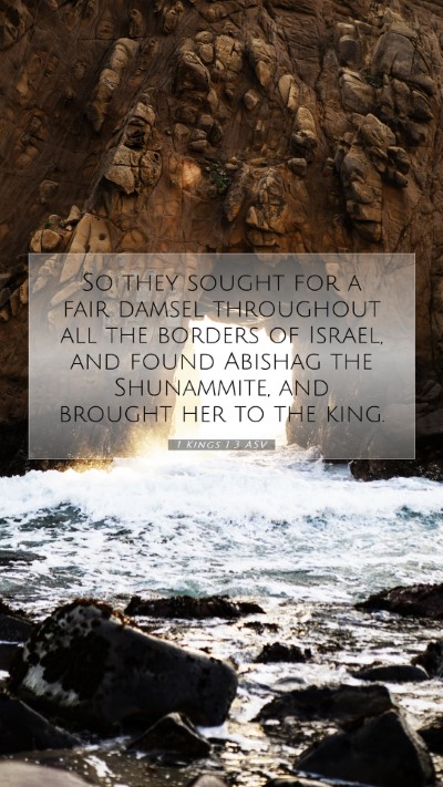 Picture 07 - 1 Kings 1:3 ASV Mobile Phone Wallpaper - So they sought for a fair damsel throughout all - Mobile Bible Verse Wallpaper